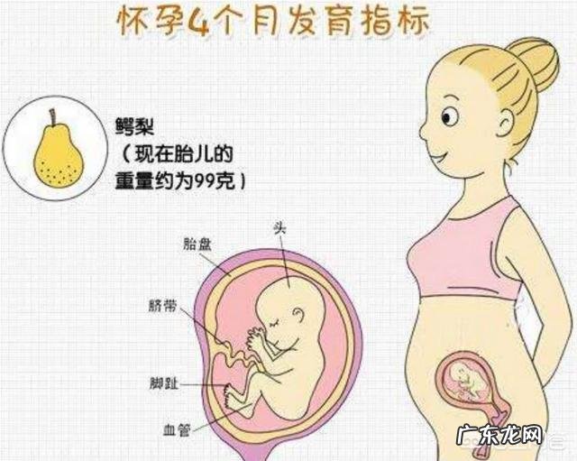 怀孕到了第4个月的时候是什么感觉呢