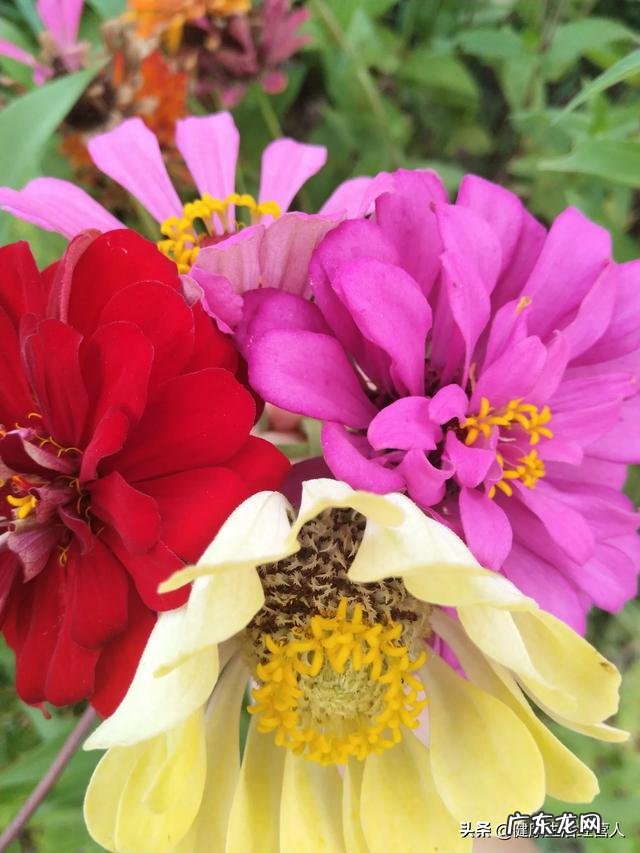 在减肥成功之后,到底要怎样才不会再胖