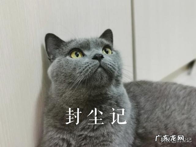 在疫情期间,我们在家能做点什么让这段时间过得有意义