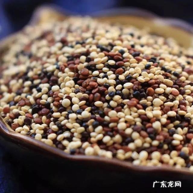 为什么有些人读外国名著总觉得索然无味