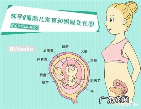 怀孕两个月胖10斤,这正常吗