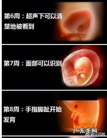 怀孕两个月胖10斤,这正常吗