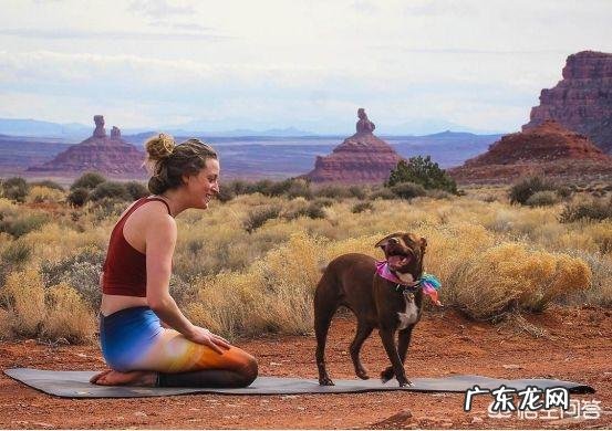 减肥药和瑜伽减肥,哪个更有效果