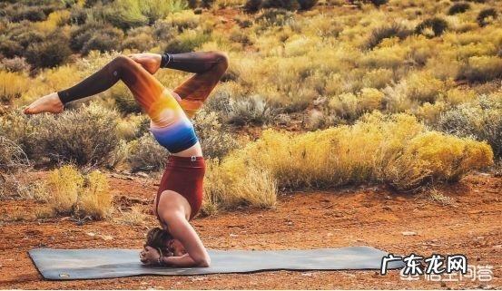 减肥药和瑜伽减肥,哪个更有效果