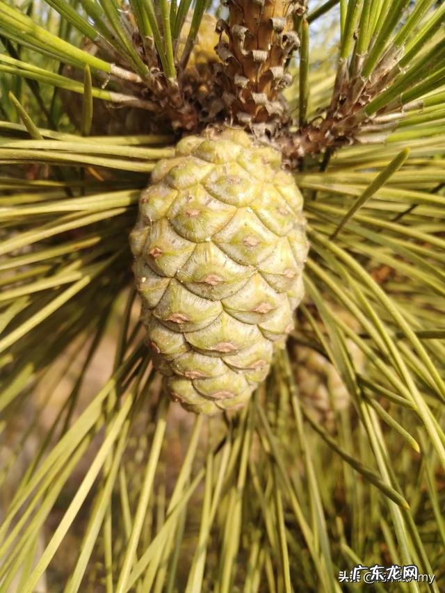 一个女人又胖又没钱是不是没有生活的希望了