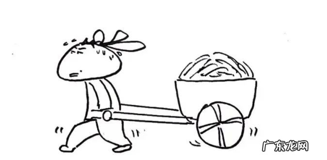 为什么说胖子都是寒湿体质