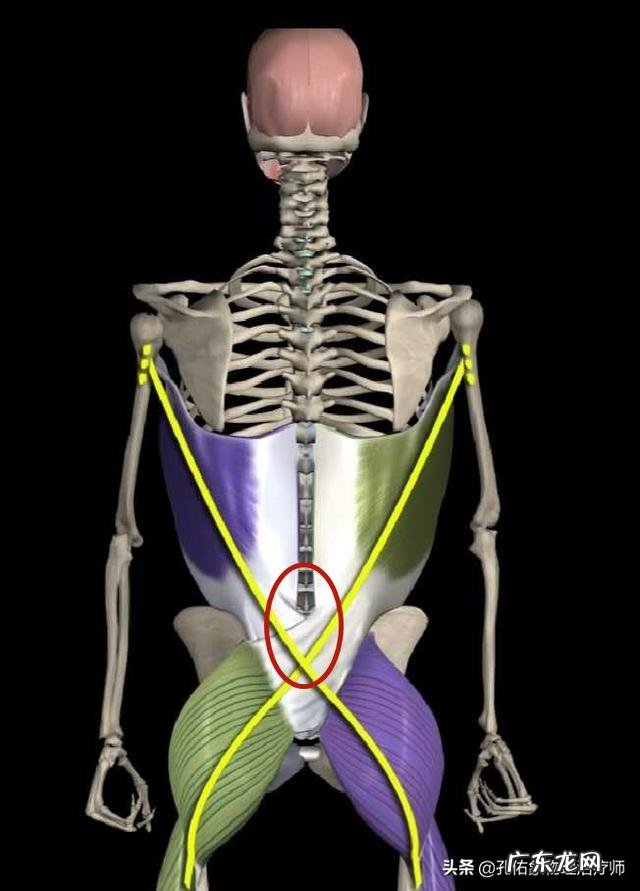 22岁,女。腰肌劳损,久坐久站都会疼。平时该怎么锻炼保养