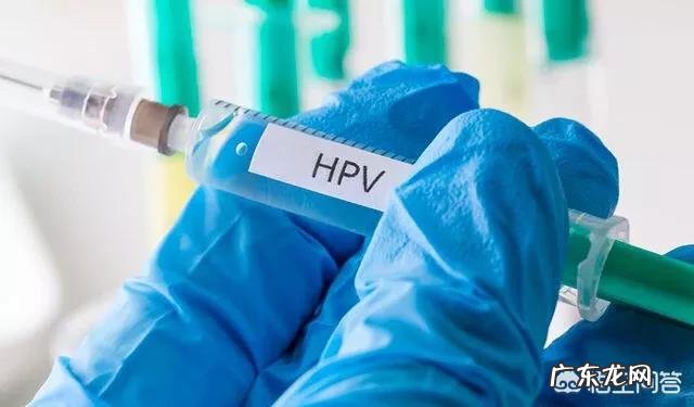 二价,四价,九价HPV疫苗有何区别它们和宫颈癌有怎样的关联呢