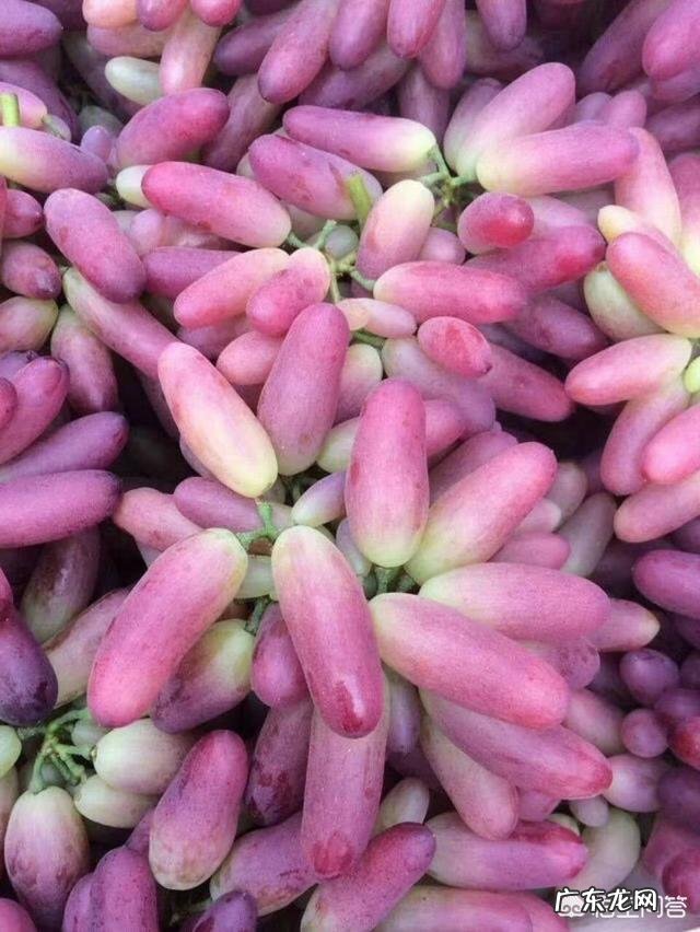 有人说腐植酸钾的肥效顶得上10倍的无机钾,这是真的吗