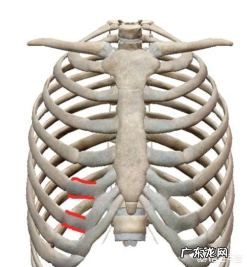 肋软骨隆鼻有哪些并发症,会被吸收吗,会不会弯曲变形