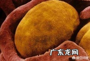 超低温冷疗真的只要站着就可以消耗几百卡路里吗