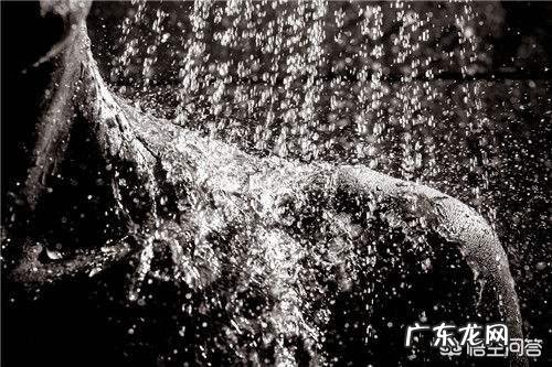 超低温冷疗真的只要站着就可以消耗几百卡路里吗