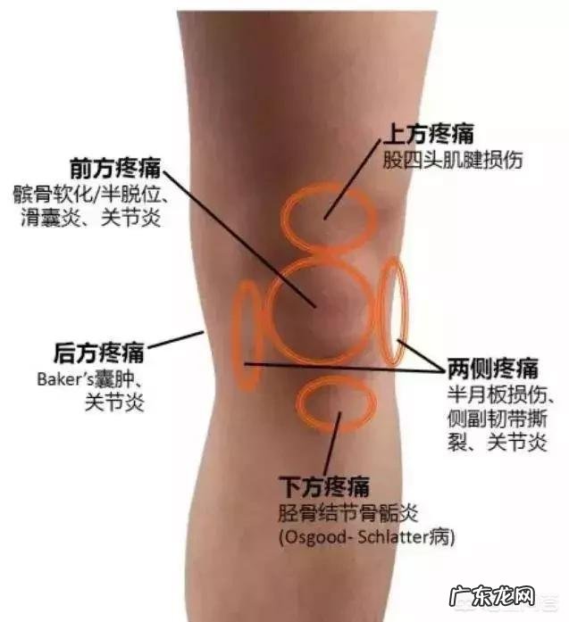 健身教练说跑步减不了肥,还特别伤膝盖走路它不伤膝盖嘛