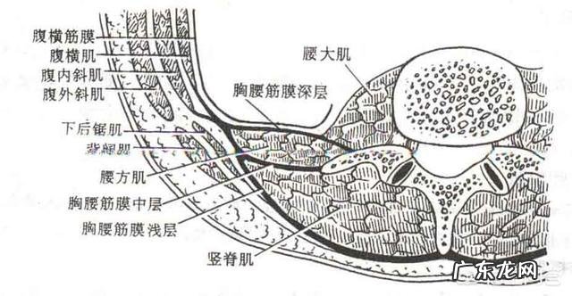 如果有腰肌劳损是否能做一些腰腹训练