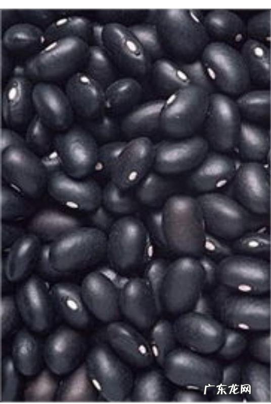 备孕两年都没怀上可能是什么原因