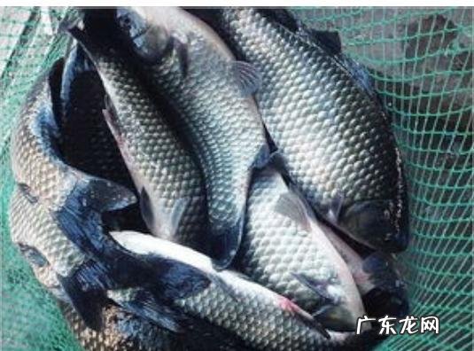 备孕两年都没怀上可能是什么原因