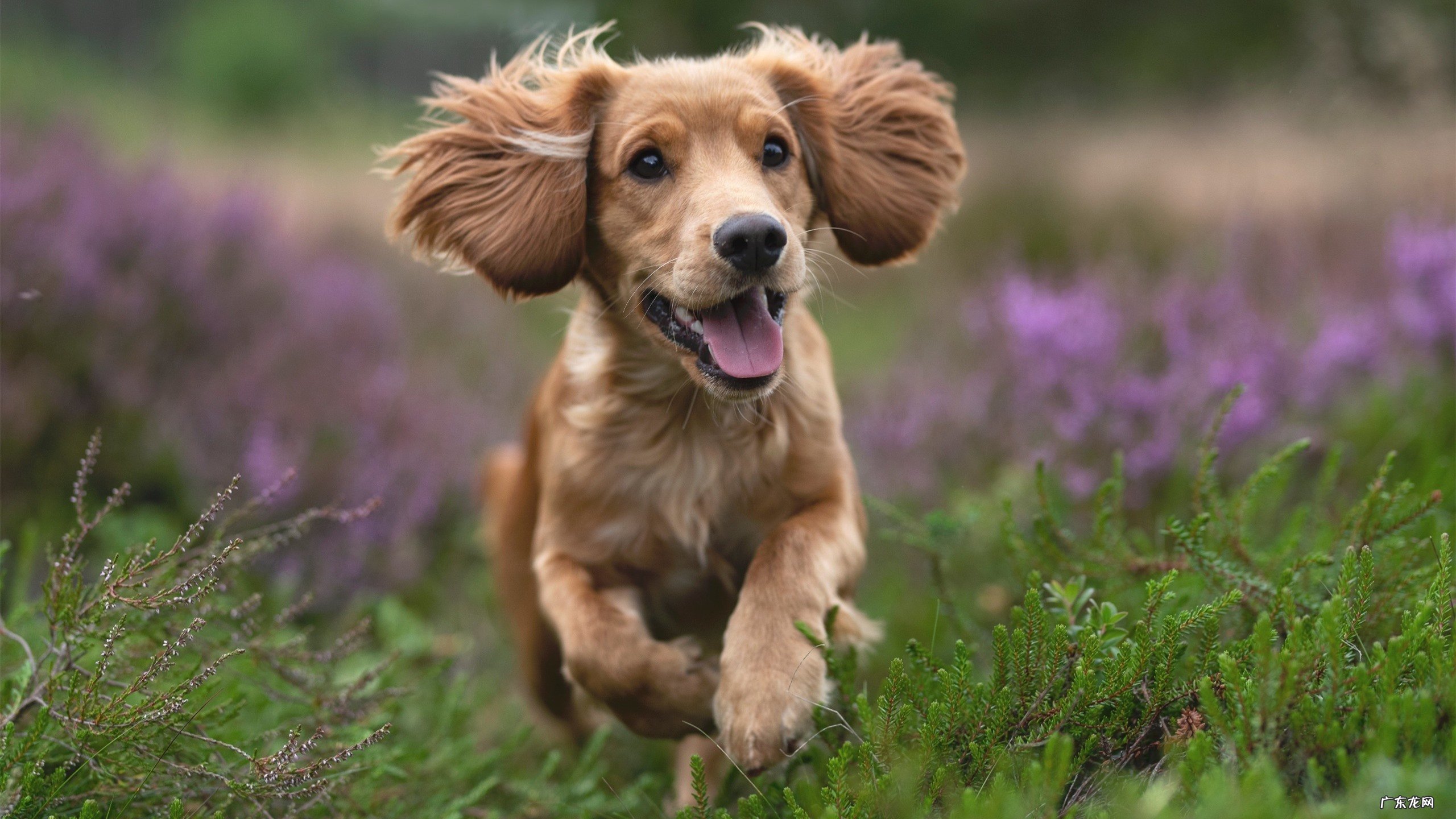 按摩哪些经络可以zhi疗咽喉炎