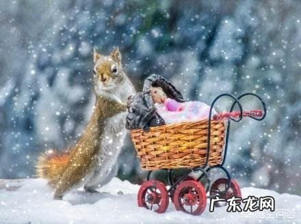 一到冬天就狂长肉，怎么办