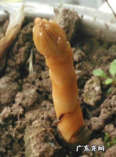 下半身胖的女生，怎么挑选适合自己的衣服