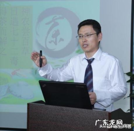 牛油果绿T恤配什么颜色短裤好看