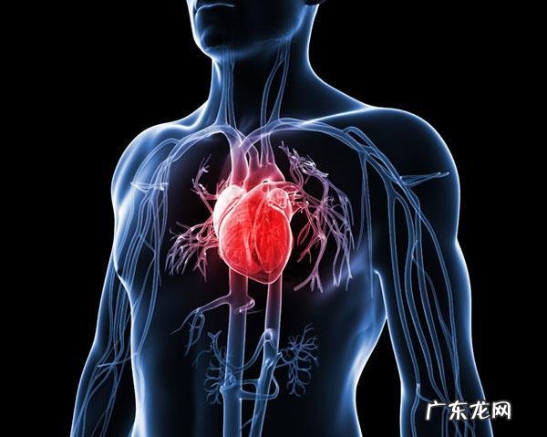 牛油果绿T恤配什么颜色短裤好看