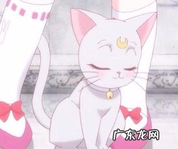 插画现在是否已成产品包装设计主流风格了