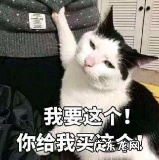 插画现在是否已成产品包装设计主流风格了