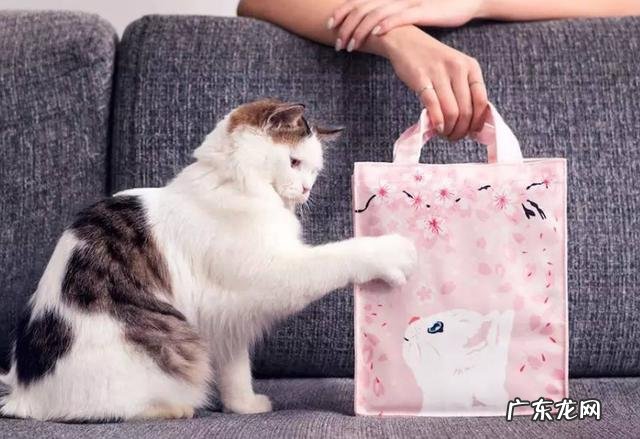 插画现在是否已成产品包装设计主流风格了