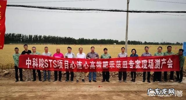 当化肥减量碰上粮食安全,粮食大省如何做到减肥不减产