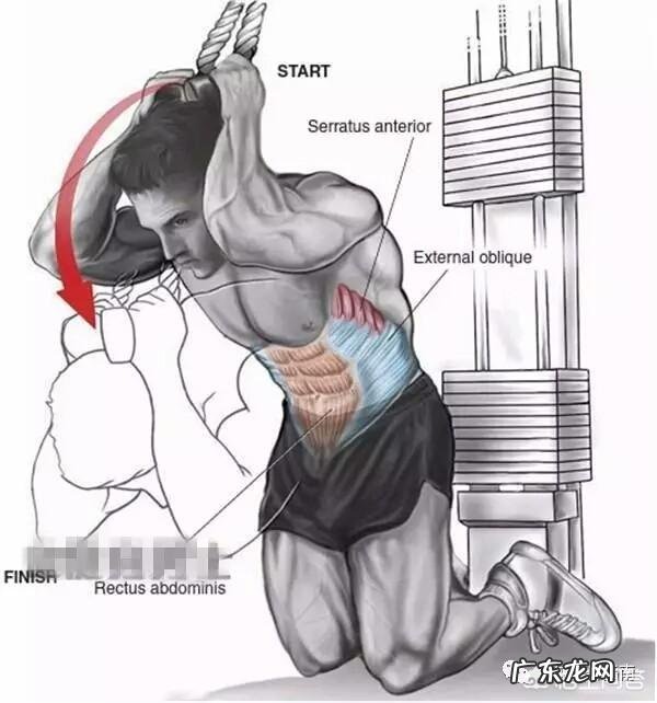 什么动作练后两块腹肌最有效,最快