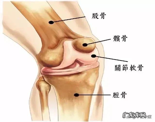 膝关节不好的人,该如何健身减肥