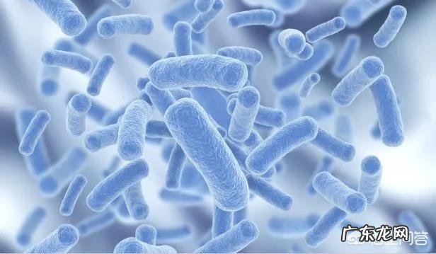 身高175、体重60公斤的女性如何合理减重5公斤