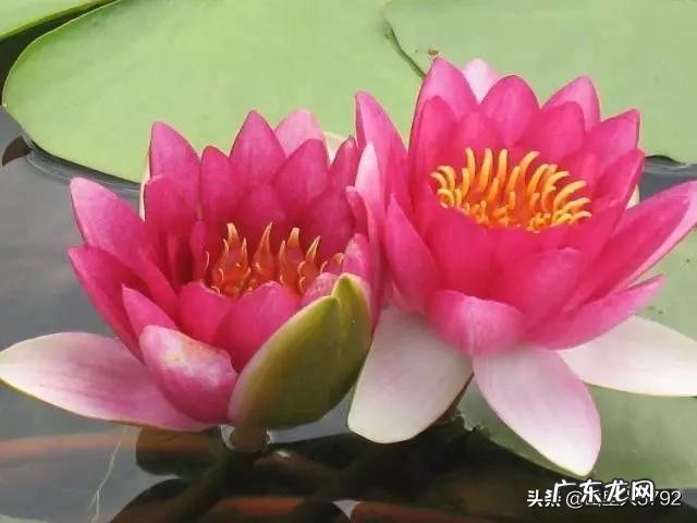 一百元左右有什么拿得出手的生日礼物