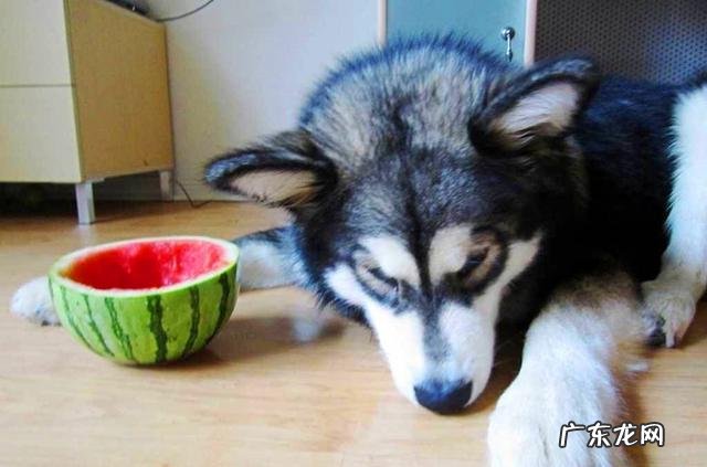 精白大米、胚芽米、糙米,怎样煮最适当