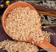 精白大米、胚芽米、糙米，怎样煮最适当