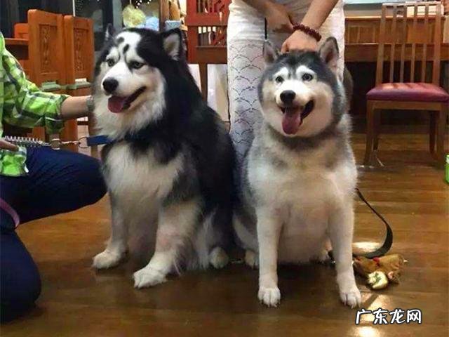 精白大米、胚芽米、糙米,怎样煮最适当