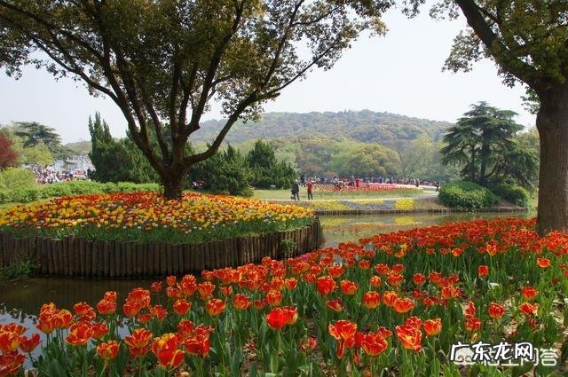 无锡的旅游年卡包含多少景点