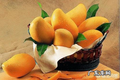 有哪些平时在办公室喝的养胃茶可以推荐