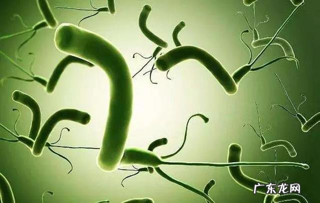 肿瘤晚期病人为啥厌食 肿瘤患者厌食怎么处理