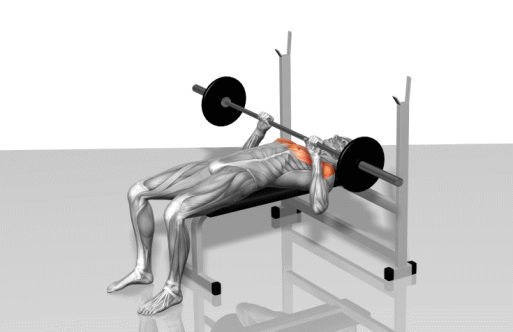 女生塑形健身，怎么样的健身动作才算复合动作