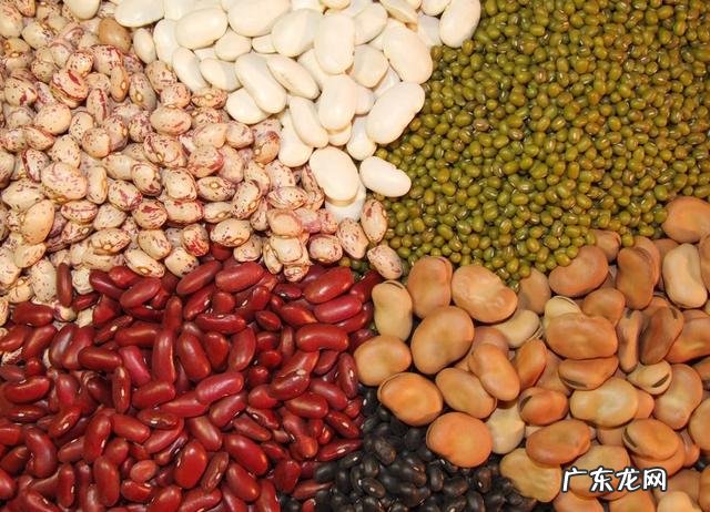 减肥期间的早餐晚餐该怎么吃