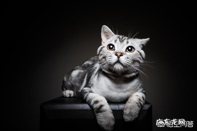 尿路感染久zhi不愈的原因是什么