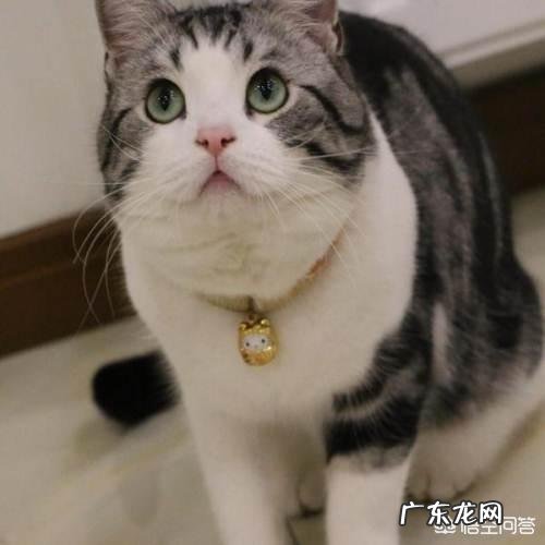 尿路感染久zhi不愈的原因是什么