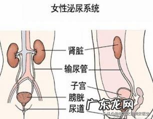 尿路感染久zhi不愈的原因是什么