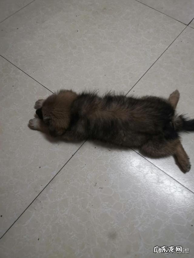 到底夏天好过一点,还是冬天好过一点呢