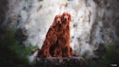 最有效的减肥食品是什么怎么吃最有效