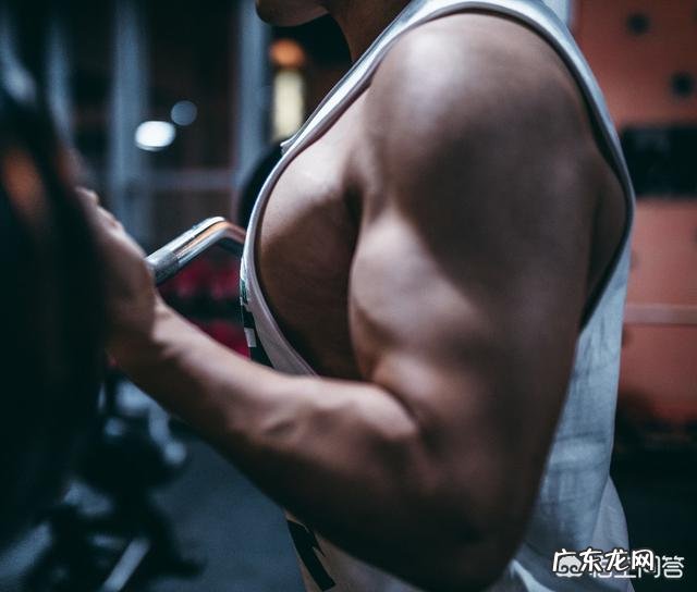 高效利用碳循环的方法有哪些