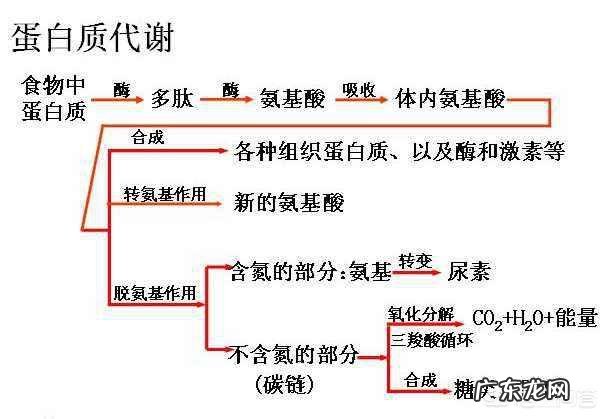 高效利用碳循环的方法有哪些