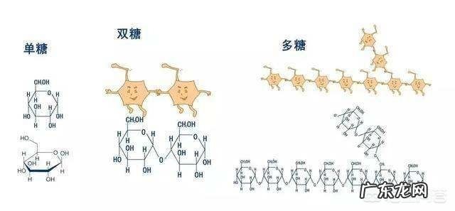 高效利用碳循环的方法有哪些