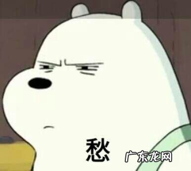 2019年有哪些费用减免政策